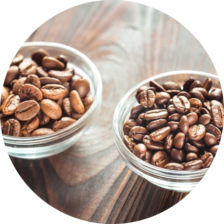 robusta vs arábica. Foto blog